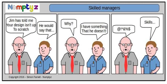 numptyz_managers-skills